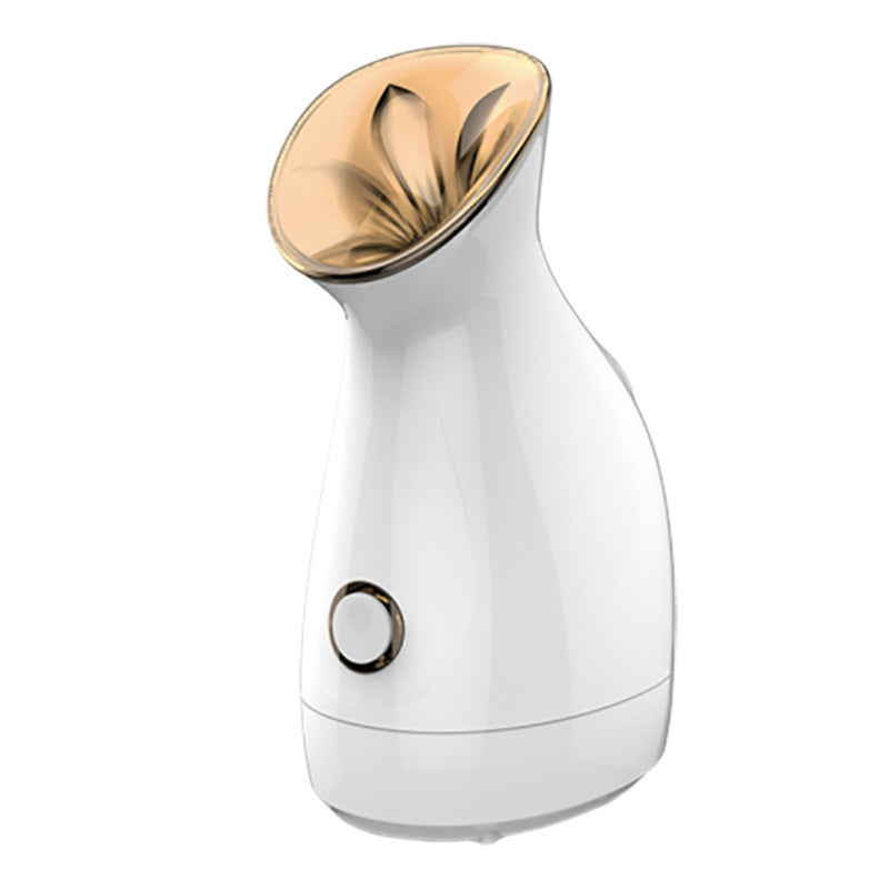 Nano Ionic Facial Steamer