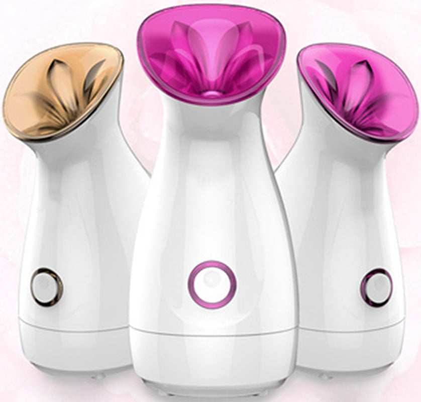 Nano Ionic Facial Steamer