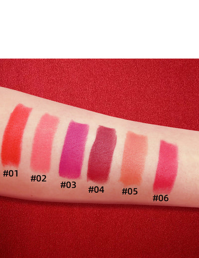 Luxury Platinum Waterproof Matte Lipstick (6 Colors)