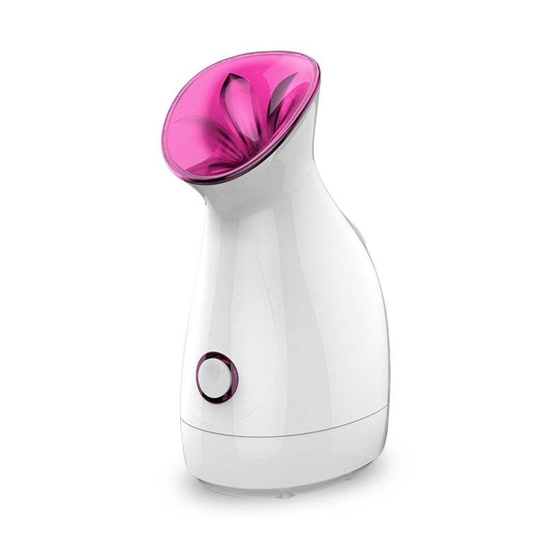 Nano Ionic Facial Steamer